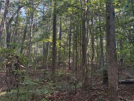 Oak Grove Road Tract