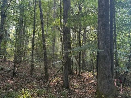 Oak Grove Road Tract