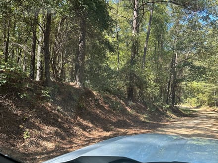 Lamar County