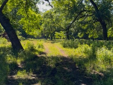 Erath County 851 Ranch ... N. Paluxy River runs through it!