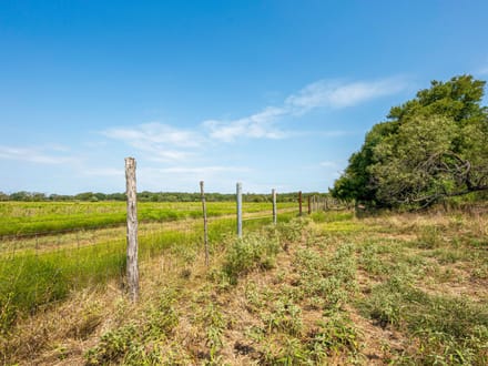 The White Ranch