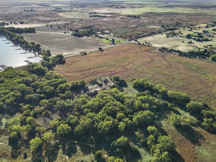 Auction! 67+/- acres of Hunting and Development Tract 2 of 4