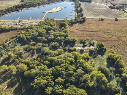 Auction! 67+/- acres of Hunting and Development Tract 2 of 4