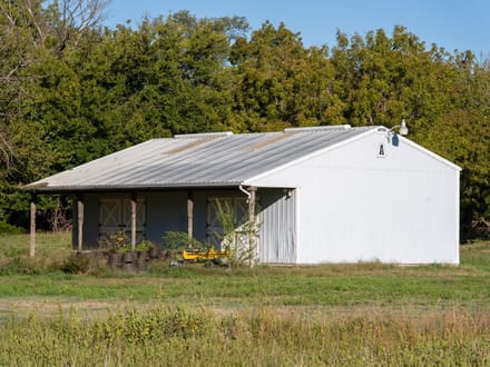 Auction! 80+/- acres of Hunting and Development Tract 1 of 4