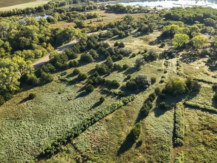 Auction! 80+/- acres of Hunting and Development Tract 1 of 4