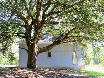 473 Goss Bunkerhill Rd.