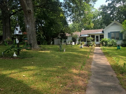311 Osbourne Street