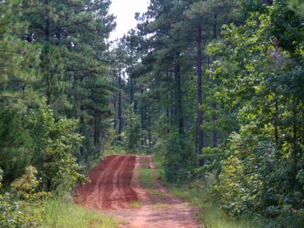 FLAT ROCK TRACT