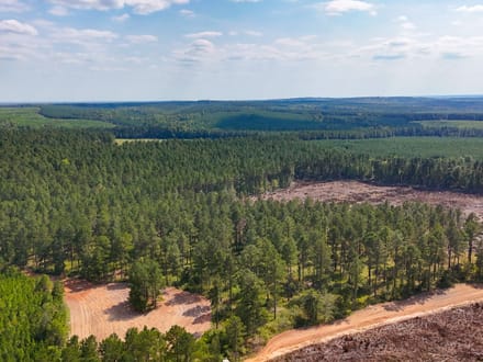 FLAT ROCK TRACT
