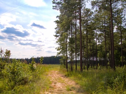 FLAT ROCK TRACT
