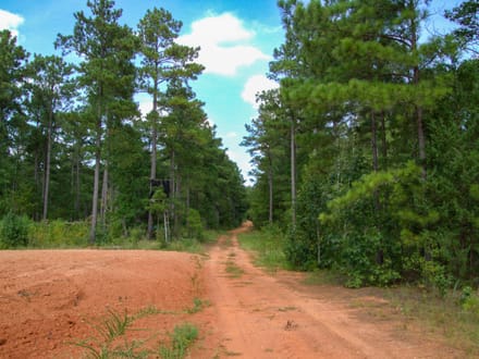 FLAT ROCK TRACT