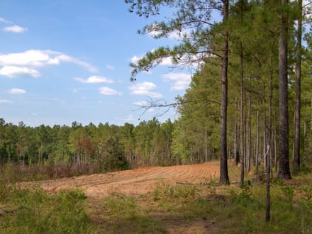 FLAT ROCK TRACT