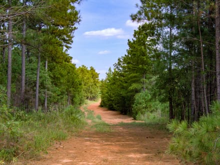 FLAT ROCK TRACT