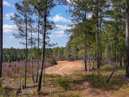 FLAT ROCK TRACT