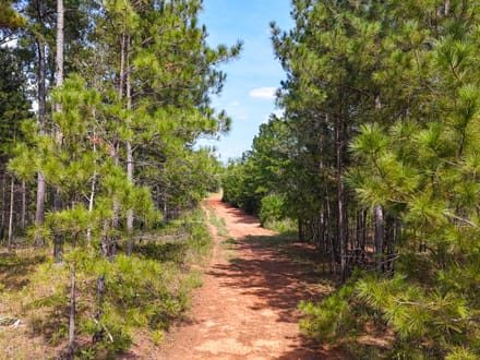 FLAT ROCK TRACT