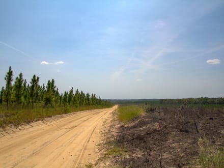 BLUE HERON TRACT