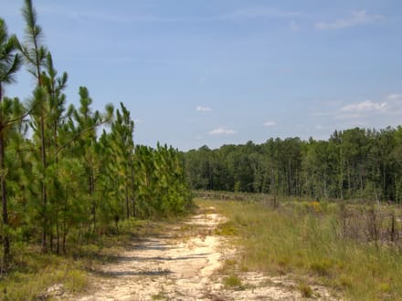 BLUE HERON TRACT