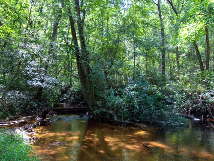 BLUE HERON TRACT