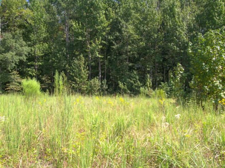 BLUE HERON TRACT