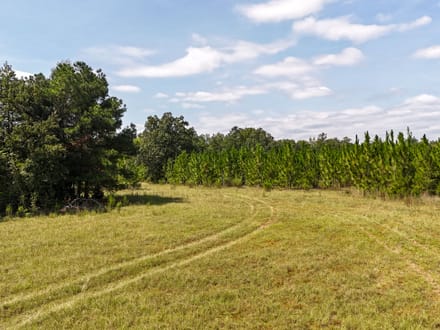 BLUE HERON TRACT
