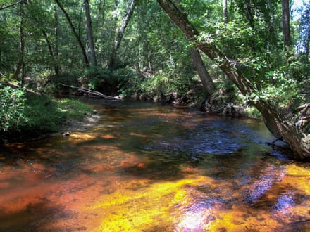 BLUE HERON TRACT
