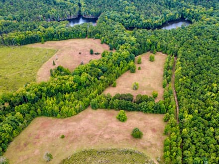 SUNNY HILL PLANTATION