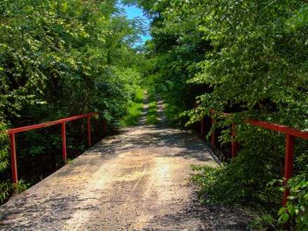 MULBERRY FORK TRACT