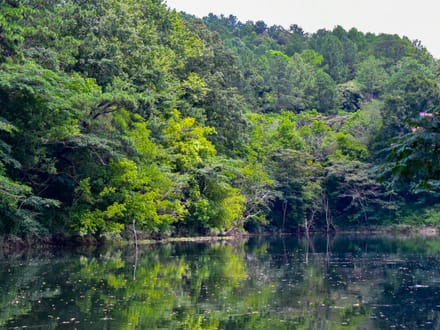 MULBERRY FORK TRACT