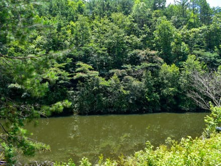 MULBERRY FORK TRACT