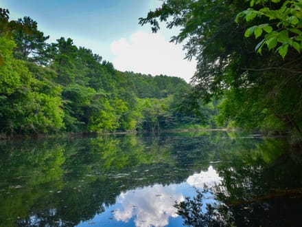MULBERRY FORK TRACT
