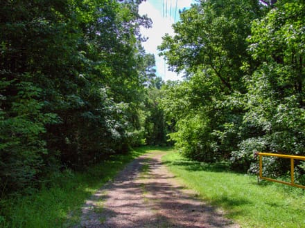 MULBERRY FORK TRACT