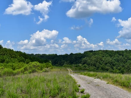 MULBERRY FORK TRACT