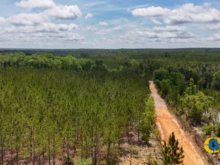 OLD CC ROAD TRACT