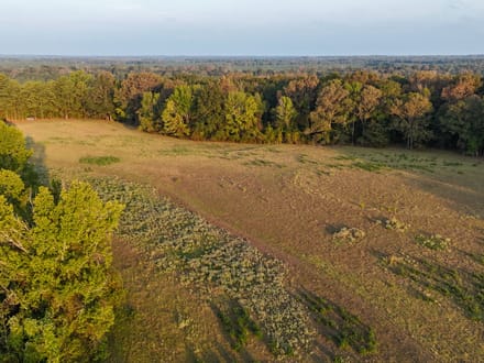 CARMEL RIDGE TRACT