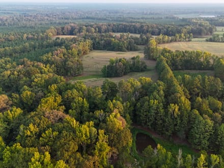 CARMEL RIDGE TRACT