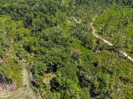 LOCUST BAYOU TRACT