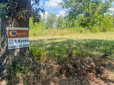LOCUST BAYOU TRACT