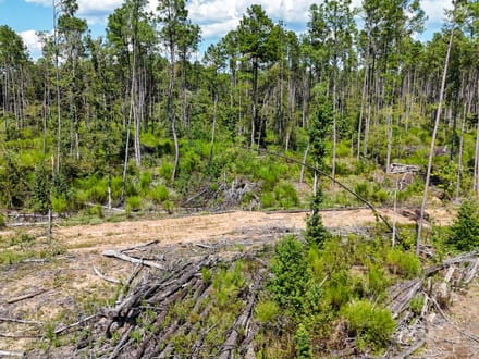LOCUST BAYOU TRACT