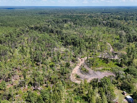LOCUST BAYOU TRACT