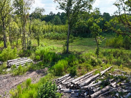 LOCUST BAYOU TRACT