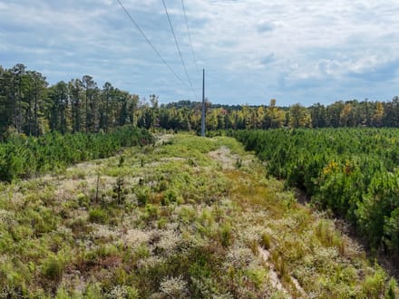 PRINCETON PIKE TRACT