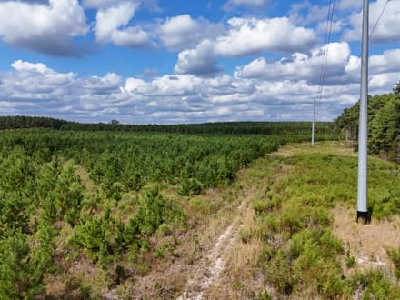 PRINCETON PIKE TRACT