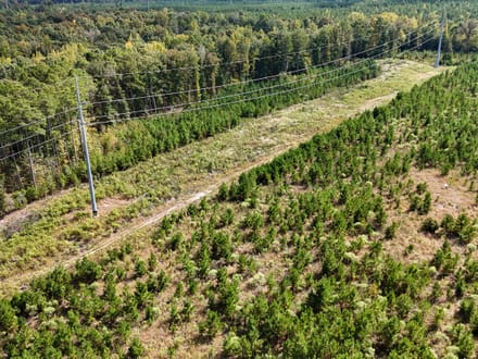 PRINCETON PIKE TRACT