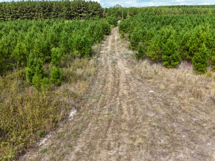 PRINCETON PIKE TRACT