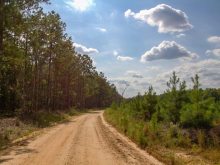SUNNY HILL ROAD 1