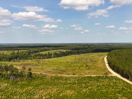 SUNNY HILL ROAD 1