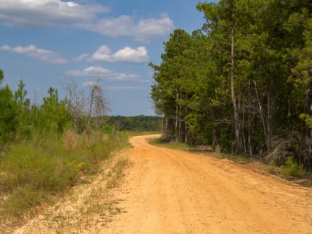 SUNNY HILL ROAD 1