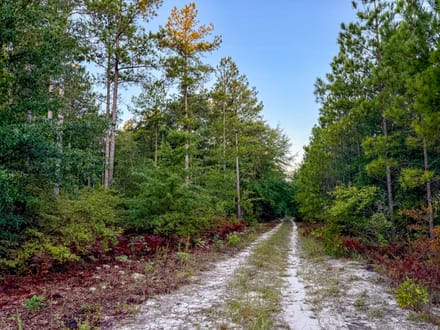 HUNTER BRANCH TRACT