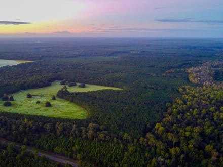 HUNTER BRANCH TRACT