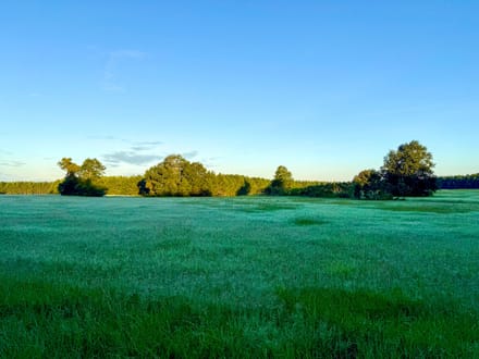 HUNTER BRANCH TRACT